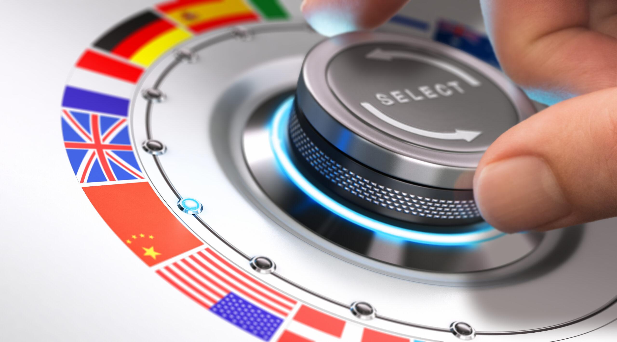 Translation Transcription Subtitle Service